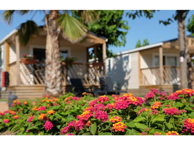 Mobilhomes de luxe | Camping El Pinar