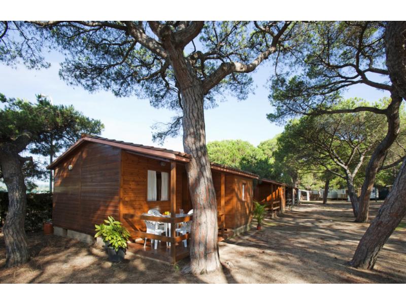 Bungalows vlakbij het strand