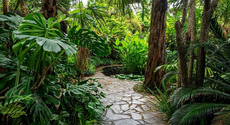 Le jardin tropical Pinya de Rosa à Blanes
