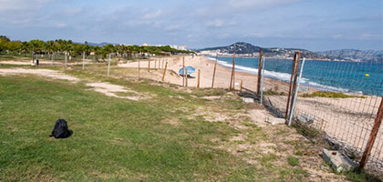 Emplacements nus au camping El Pinar