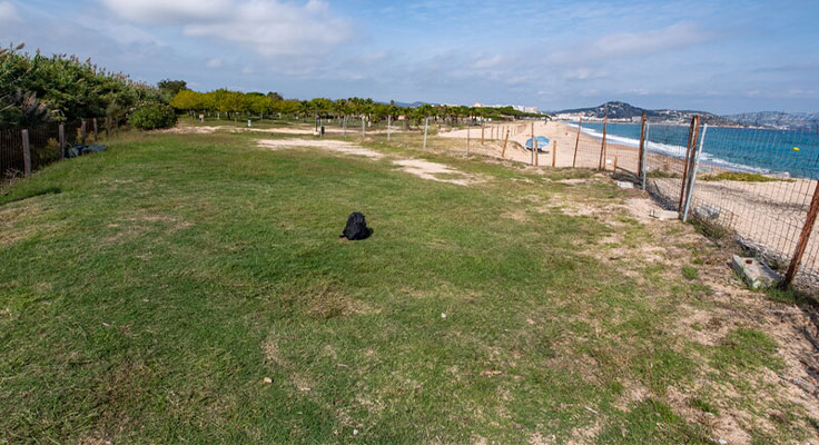 Les emplacements du camping El Pinar, en bord de mer