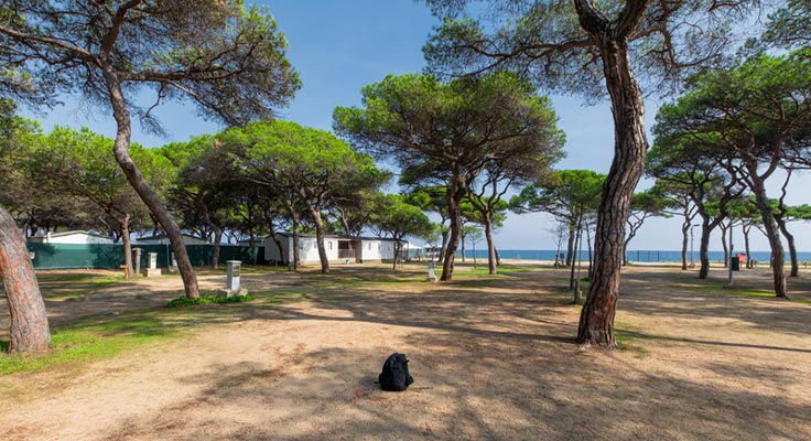 Vue sur la mer depuis les parcelles du camping El Pinar à Blanes
