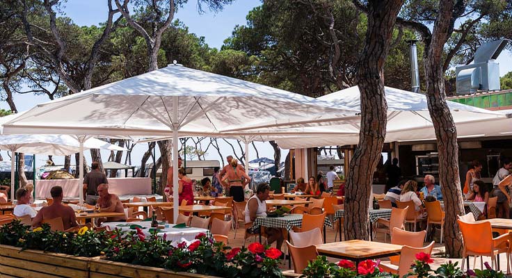 Venez vous restaurer au snack et au bar du camping